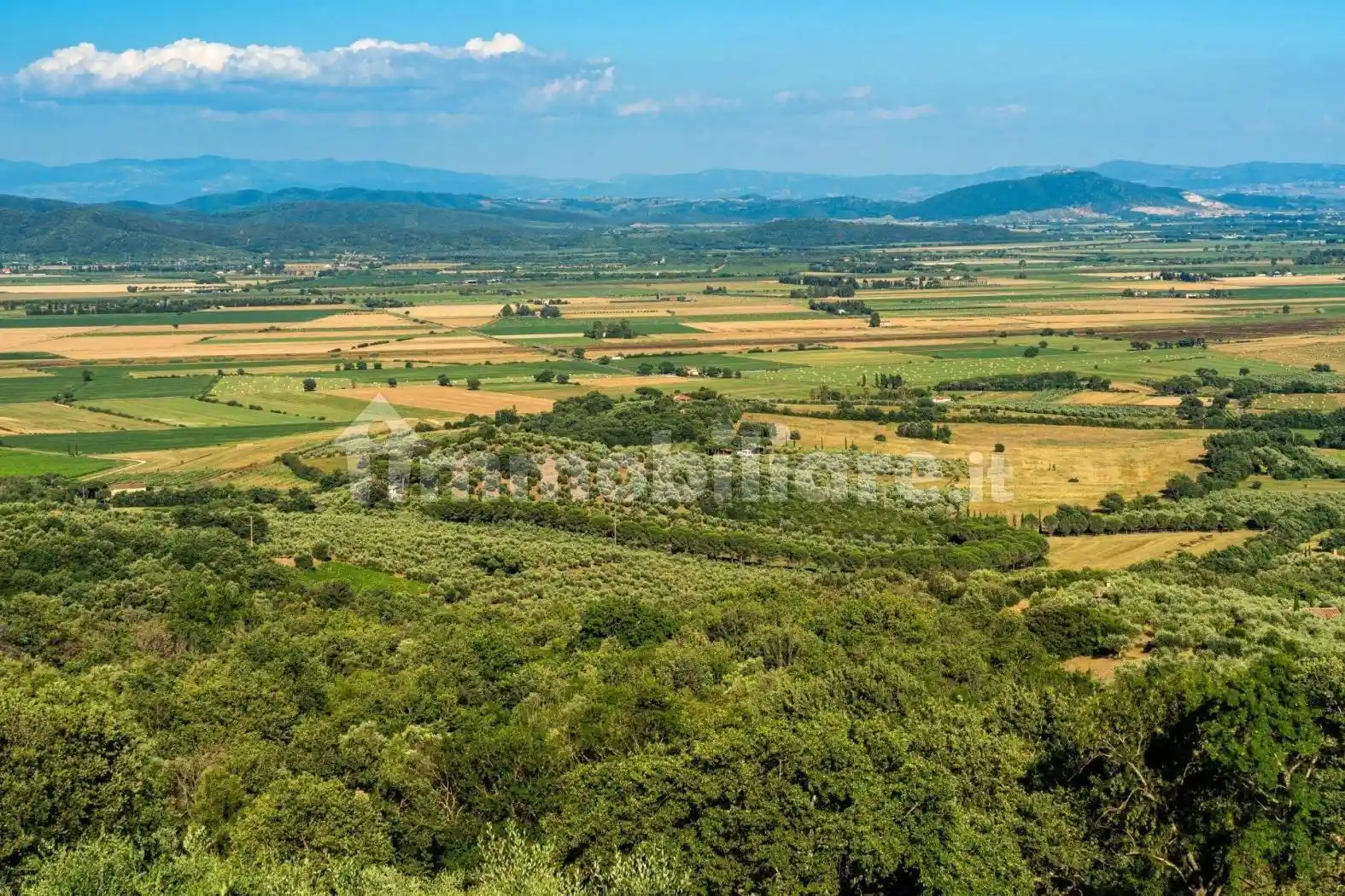 Rustico - Casale in vendita a Grosseto