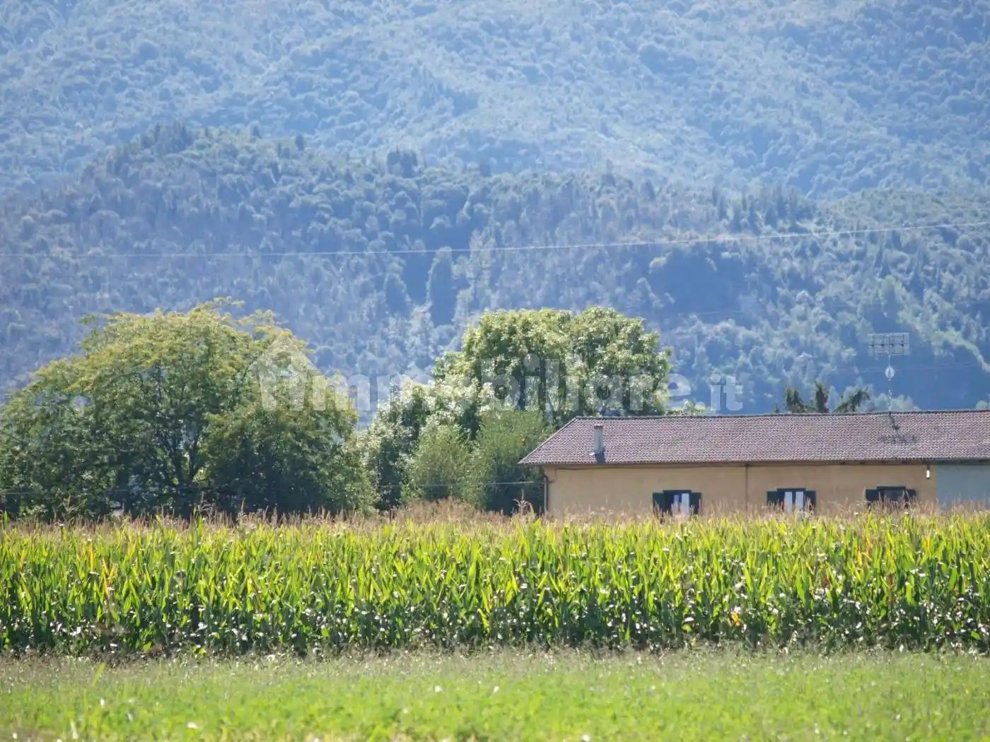 Appartamento in affitto a Boves