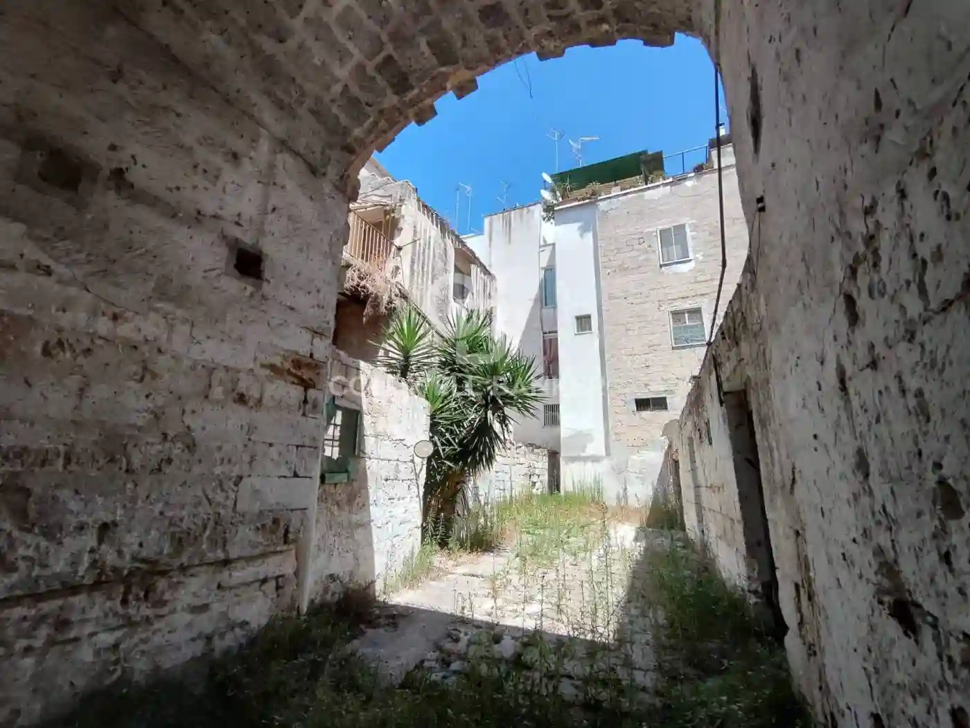 Palazzo - Edificio - foto 5