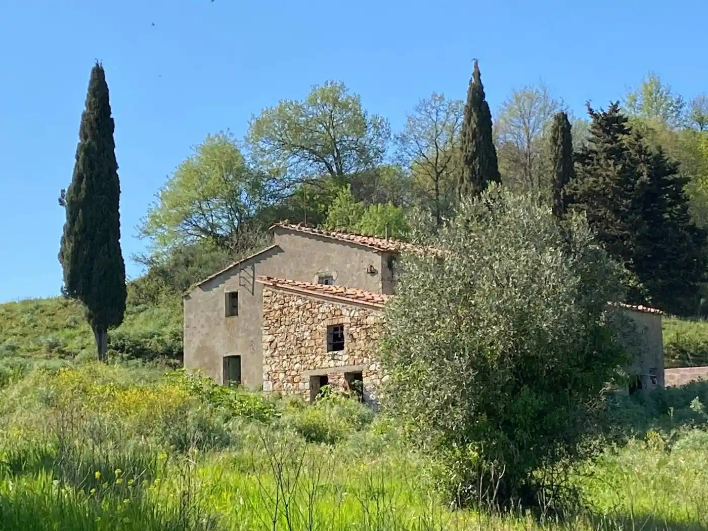 Rustico - Casale in vendita a Pomarance