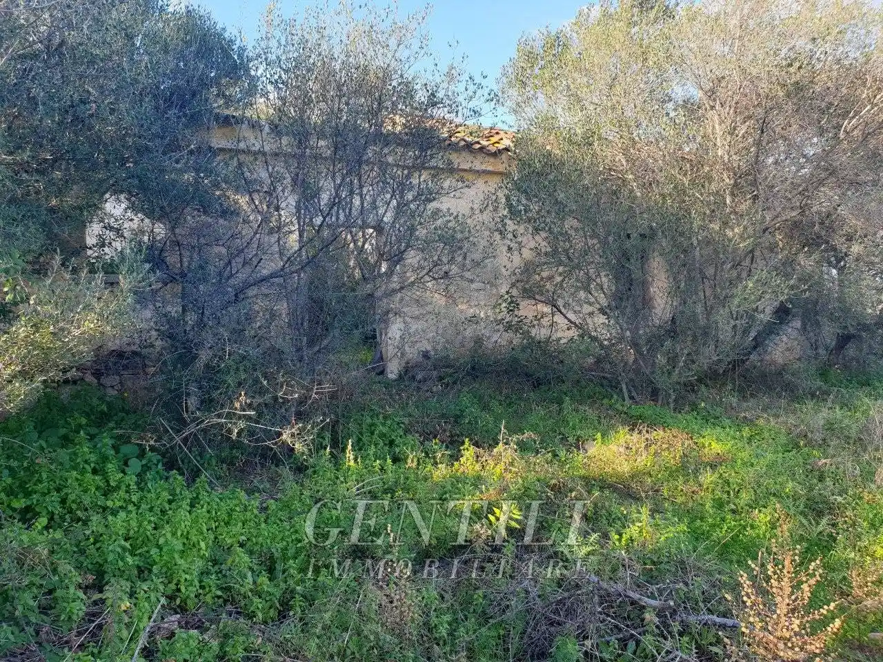 Rustico Mudizza Piana, Santa Mariedda, Olbia - foto 2