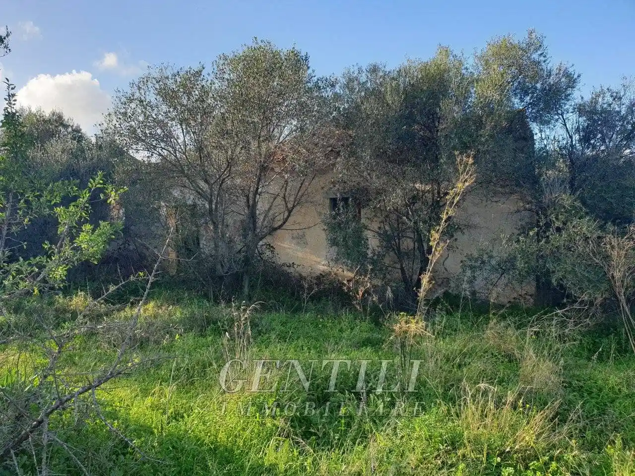 Rustico Mudizza Piana, Santa Mariedda, Olbia - foto 4