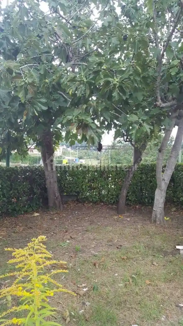 Villa unifamiliare Contrada Polcari Rastiello, Montefalcione - foto 2