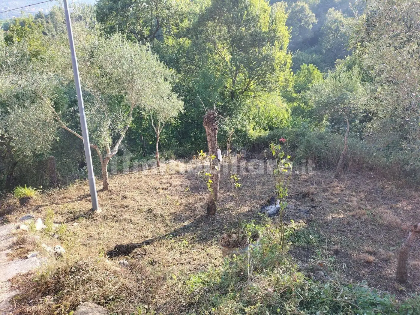 Rustico - Casale in vendita a Pannarano