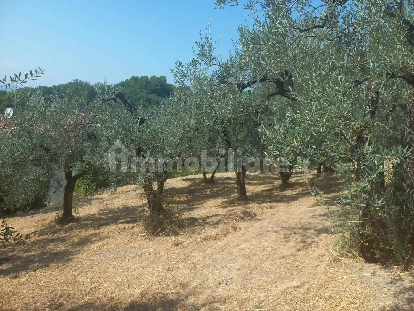 Rustico Strada di Rocca Carlea, Perticara - San Rocco, Terni - foto 2