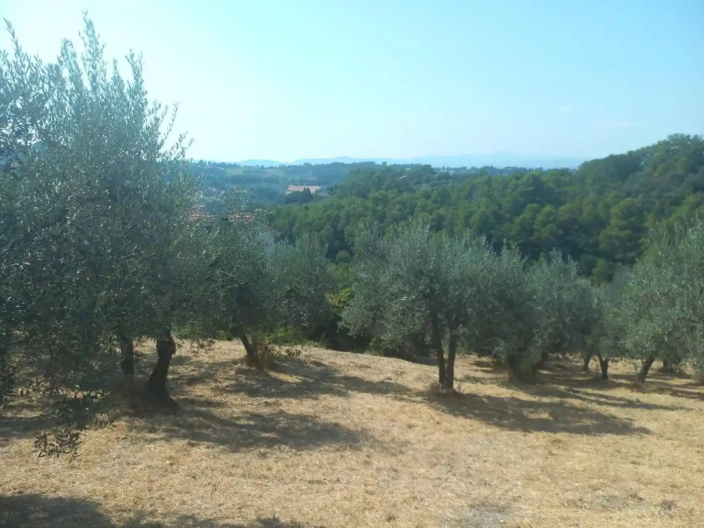 Rustico Strada di Rocca Carlea, Perticara - San Rocco, Terni - foto 3