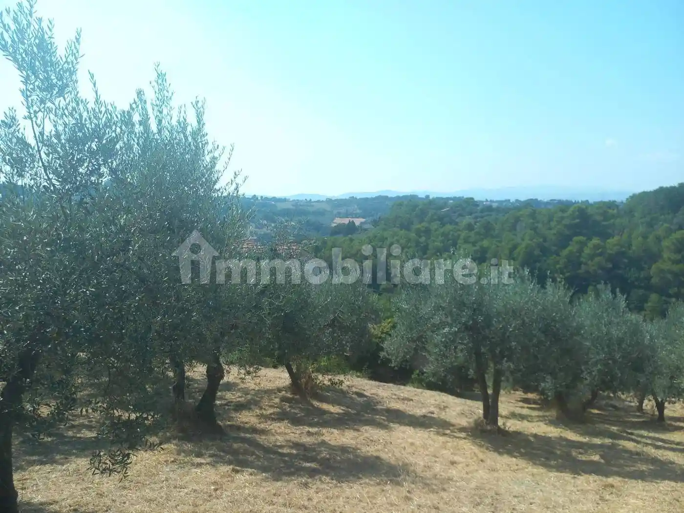 Rustico Strada di Rocca Carlea, Perticara - San Rocco, Terni - foto 4