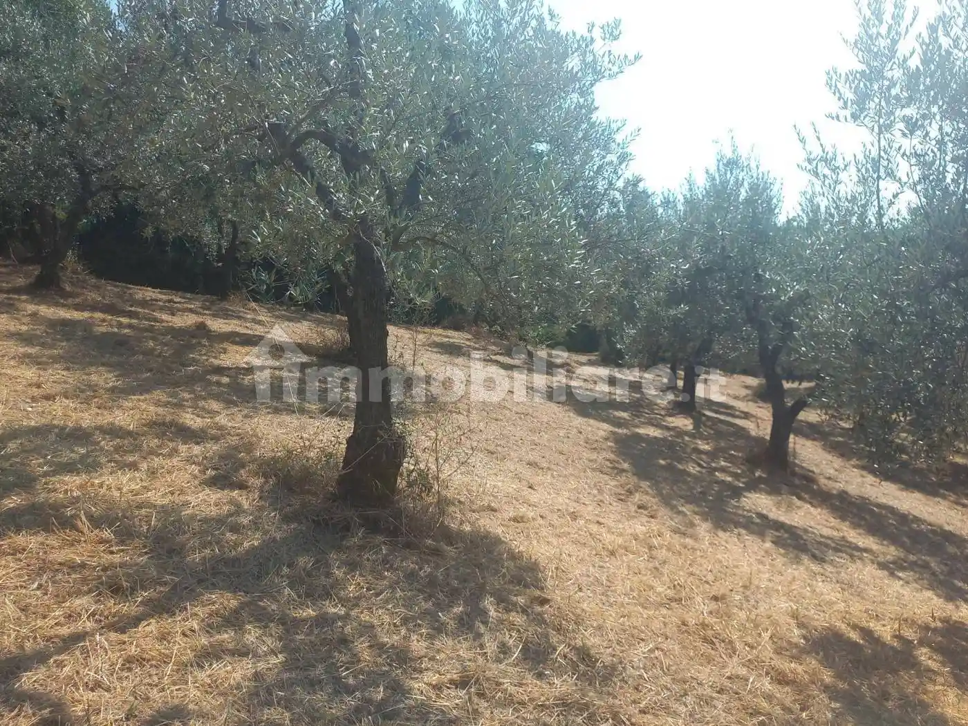 Rustico Strada di Rocca Carlea, Perticara - San Rocco, Terni - foto 5