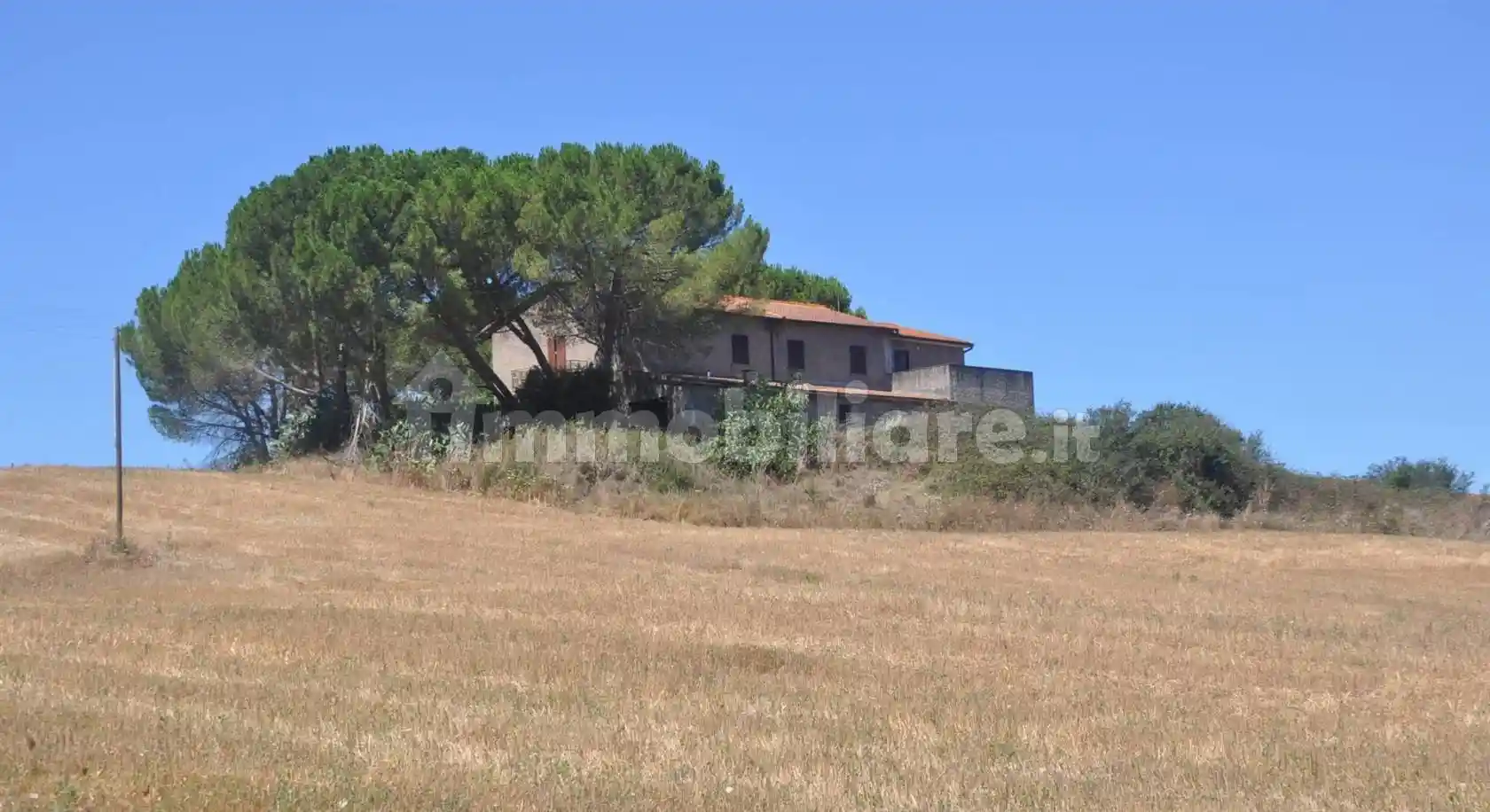 Rustico - Casale in vendita a Bibbona