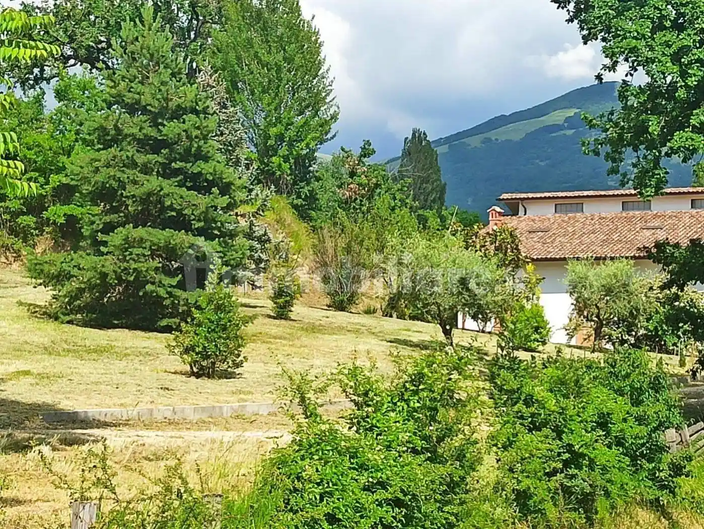 Rustico - Casale in vendita a Morro Reatino