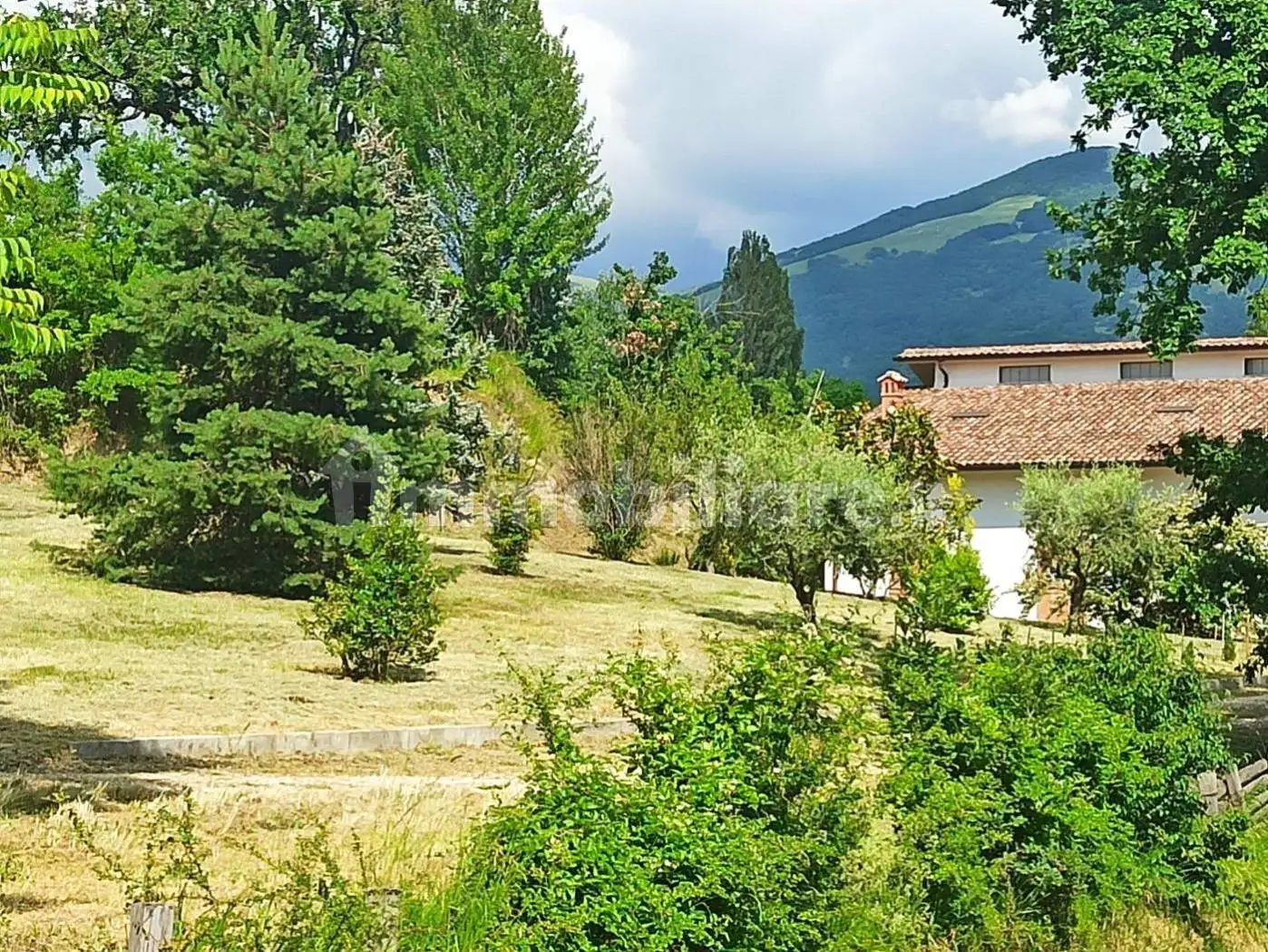 Rustico - Casale in vendita a Morro Reatino