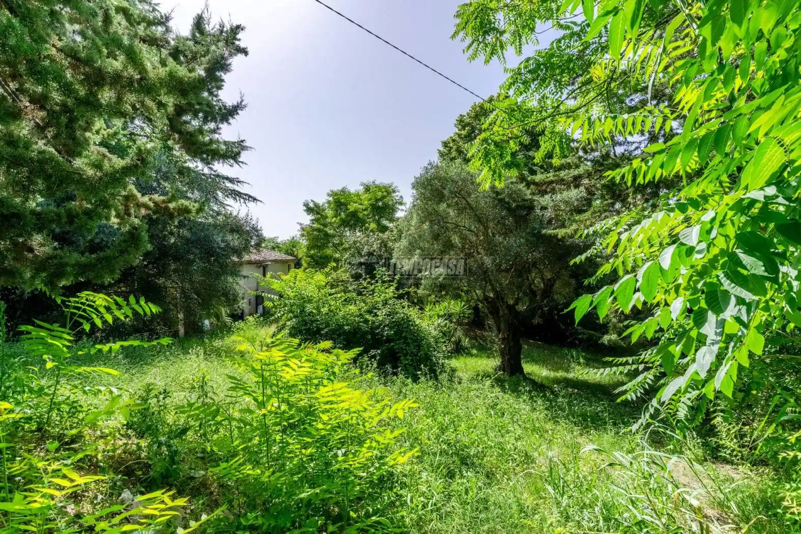 Rustico - Casale in vendita a Macerata