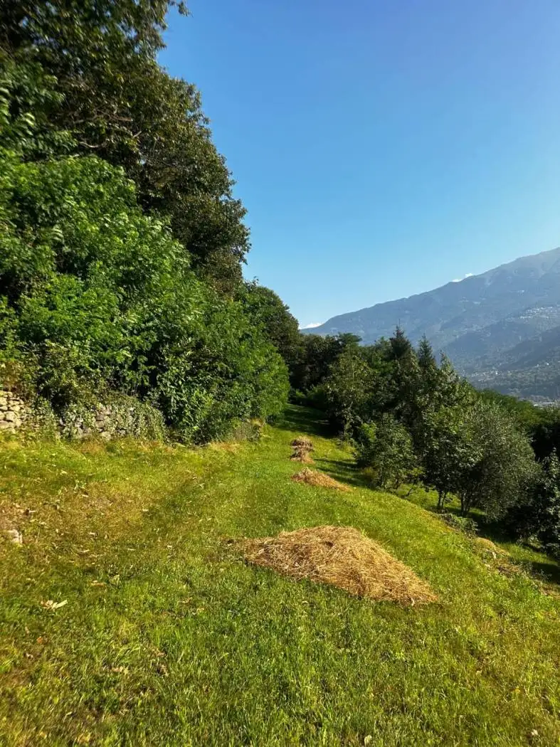 Rustico Galleria Capo di Ponte, Capo di Ponte - foto 5