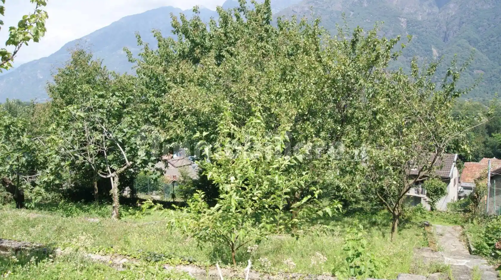 Casa indipendente in vendita a Ornavasso