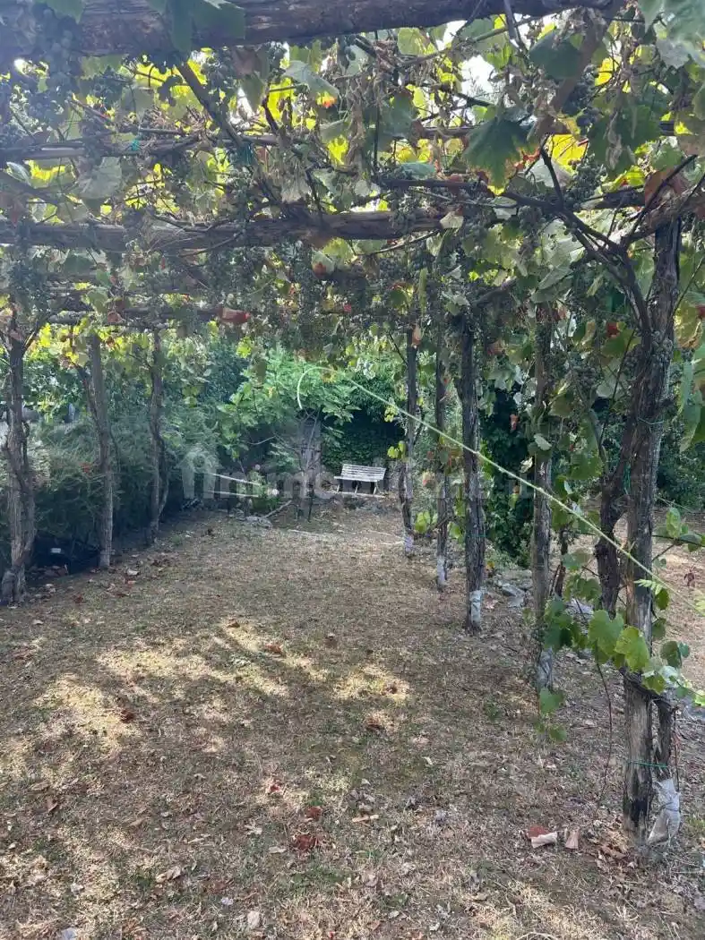 Rustico - Casale in vendita a Ameglia