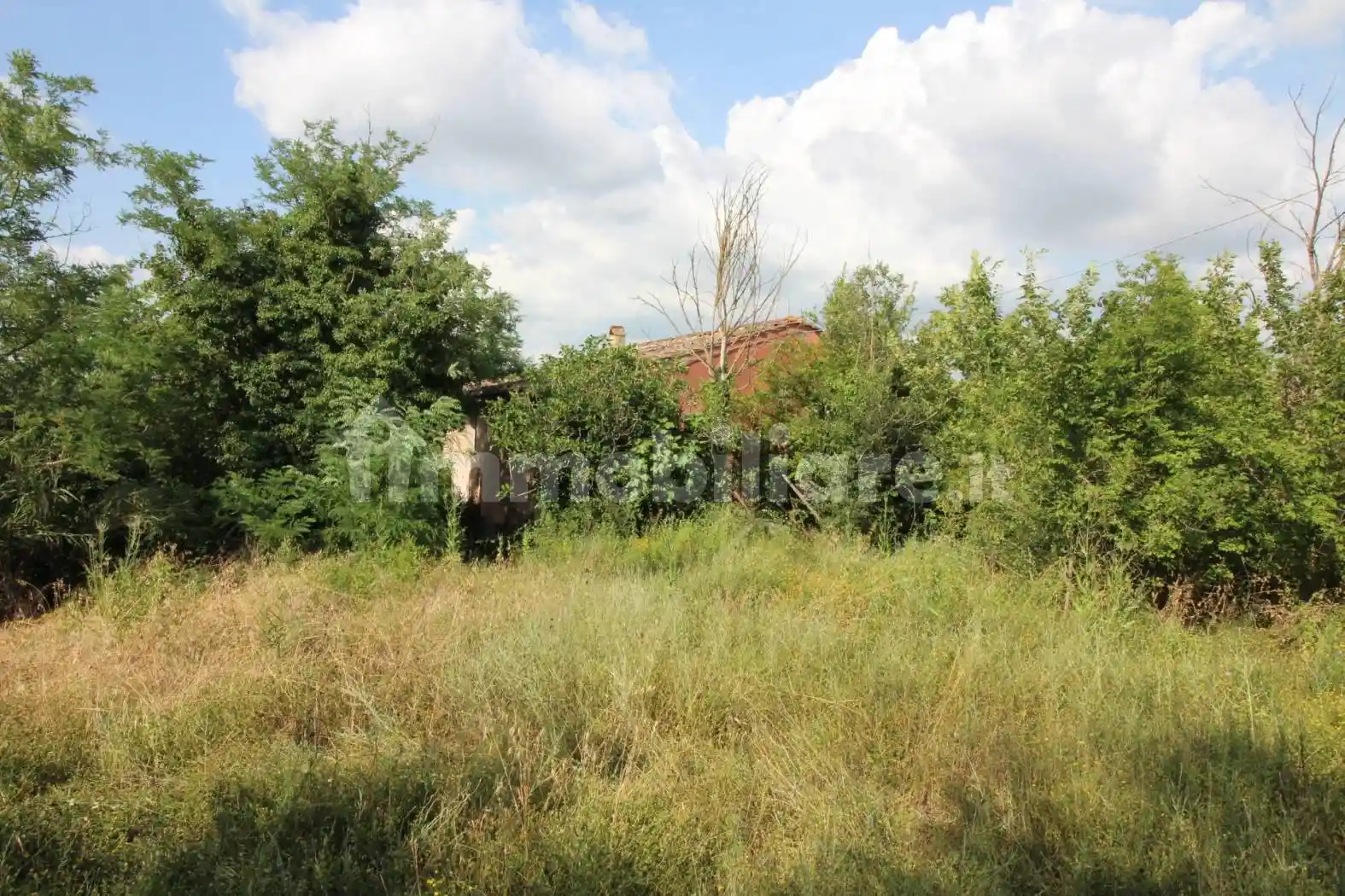 Rustico - Casale in vendita a Montespertoli