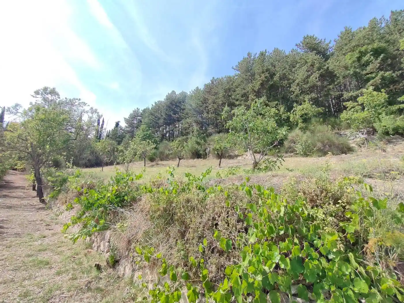 Villa unifamiliare, buono stato, 350 m², Torretta - Torrione, L'Aquila - foto 2