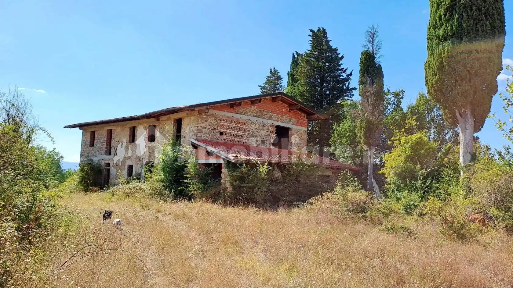 Rustico - Casale in vendita a Vicchio