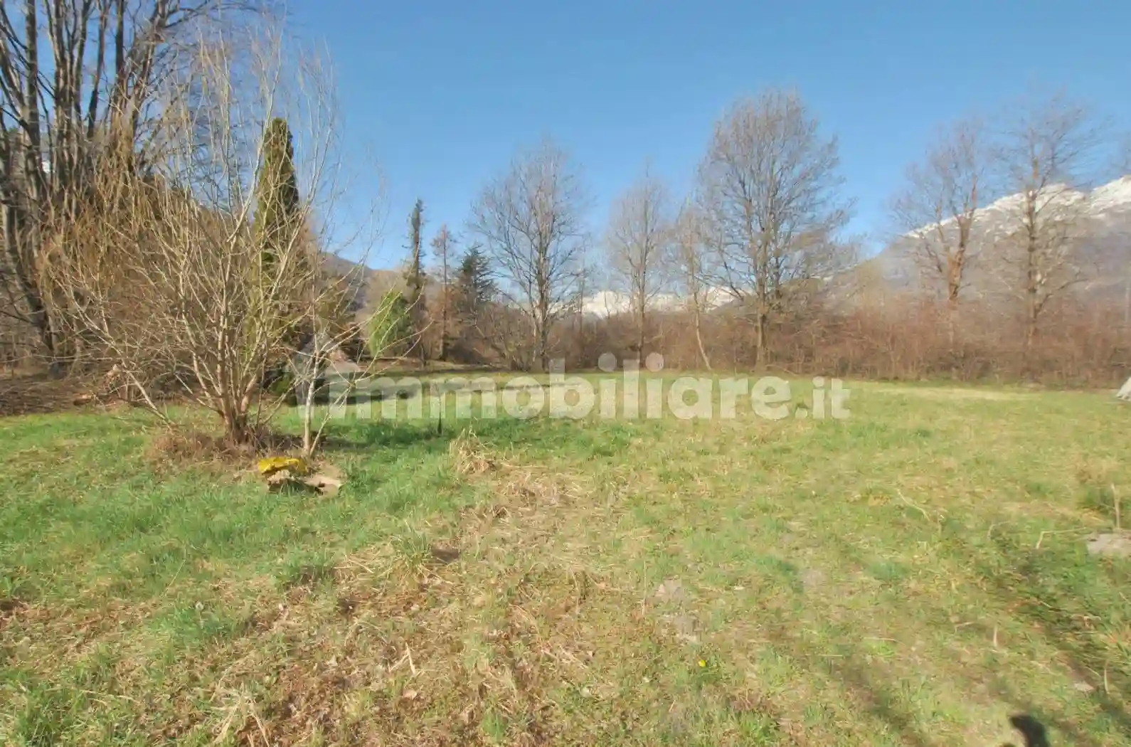 Palazzo - Edificio - foto 5