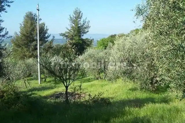 Rustico - Casale in vendita a Peccioli