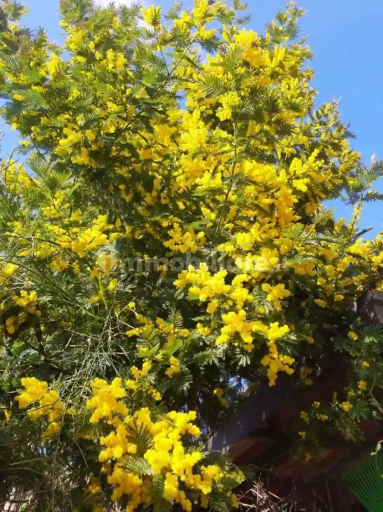 Appartamento in affitto a Corbetta