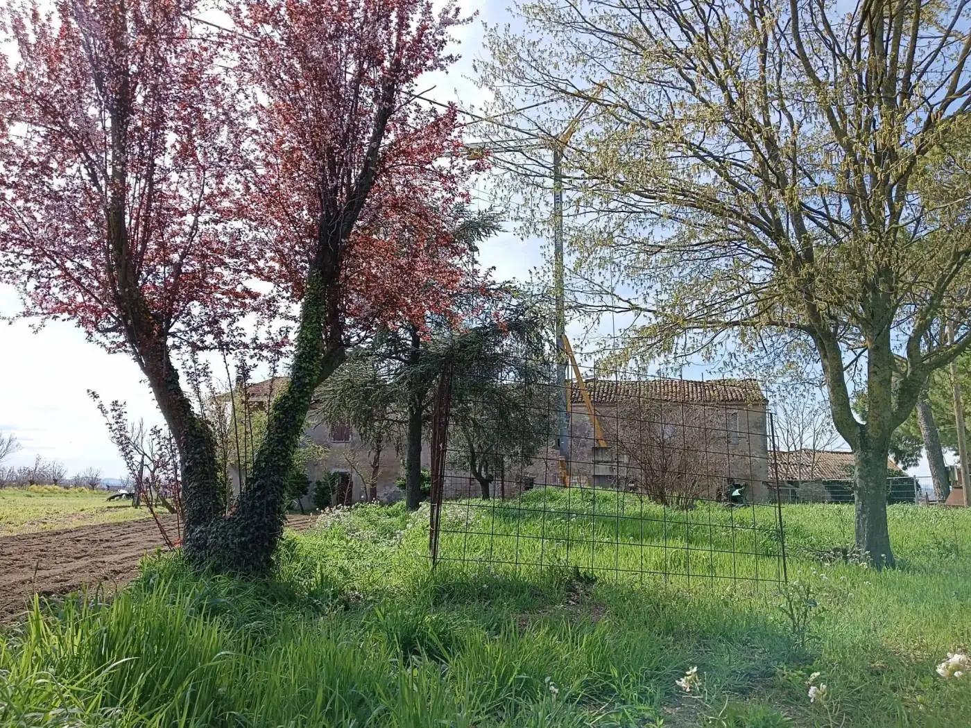 Rustico - Casale in vendita a San Mauro Pascoli