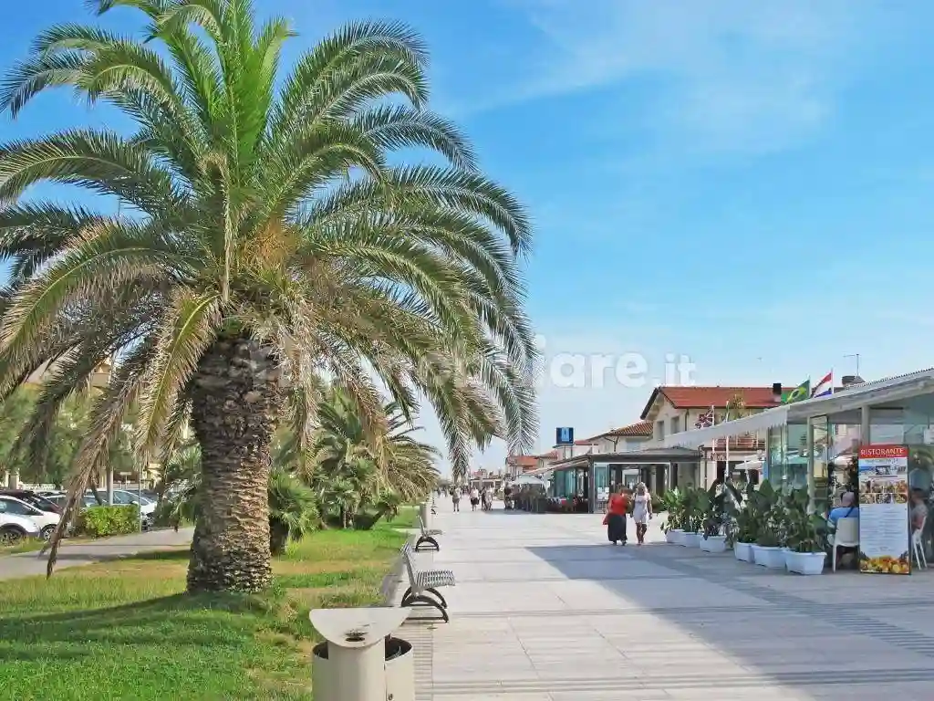 Palazzo - Edificio - foto 2