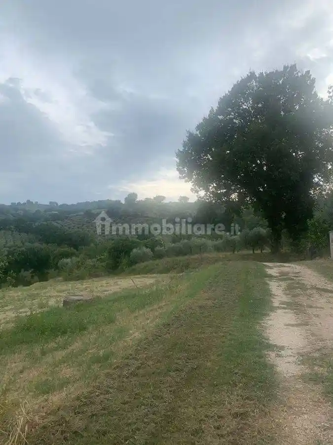 Rustico - Casale in vendita a Bevagna