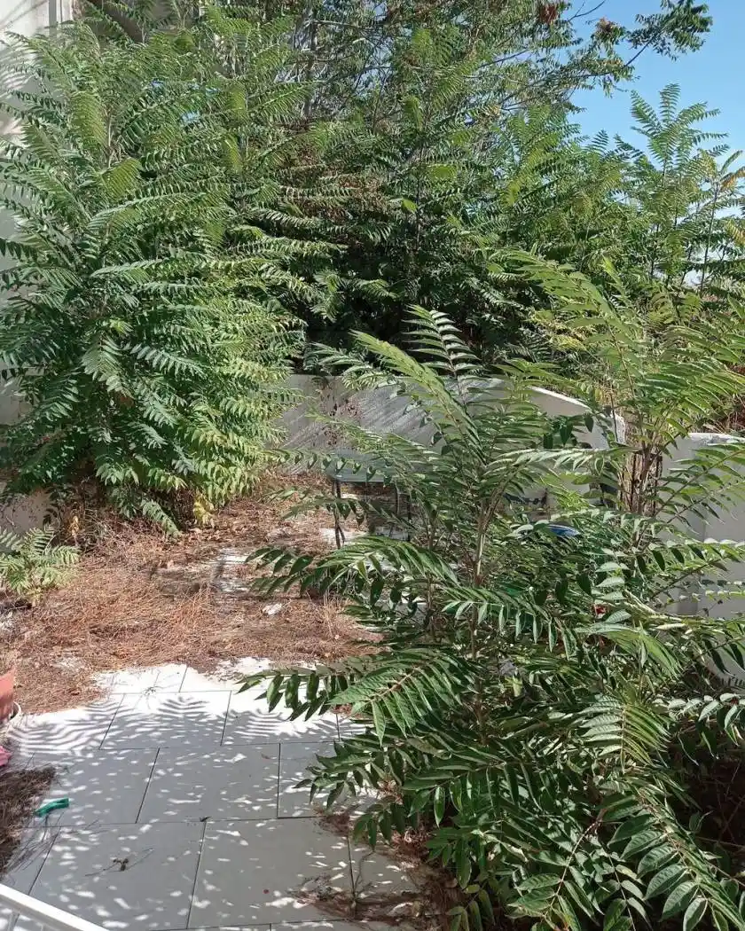 Appartamento in vendita a Messina