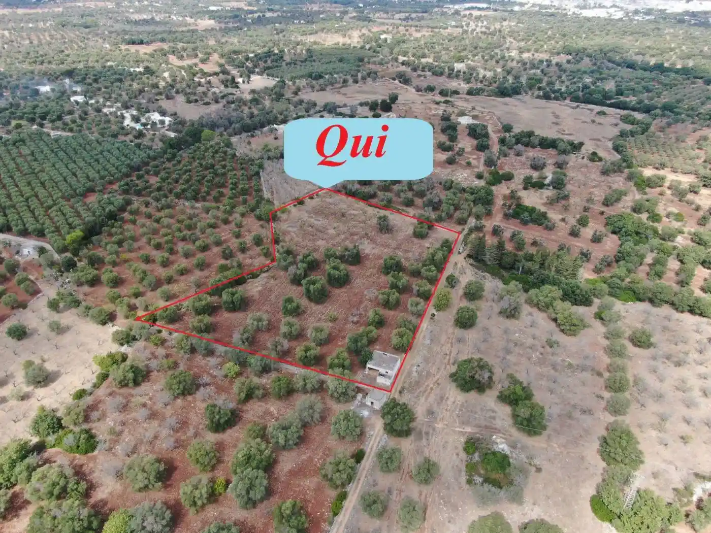 Rustico - Casale in vendita a Carovigno