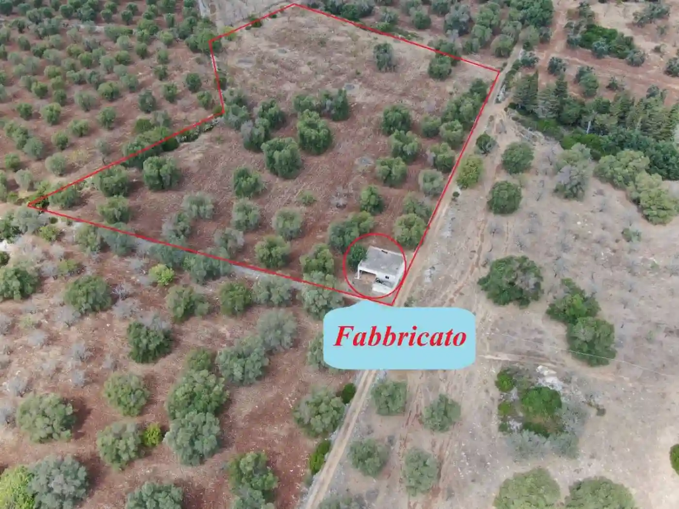 Rustico - Casale - foto 2