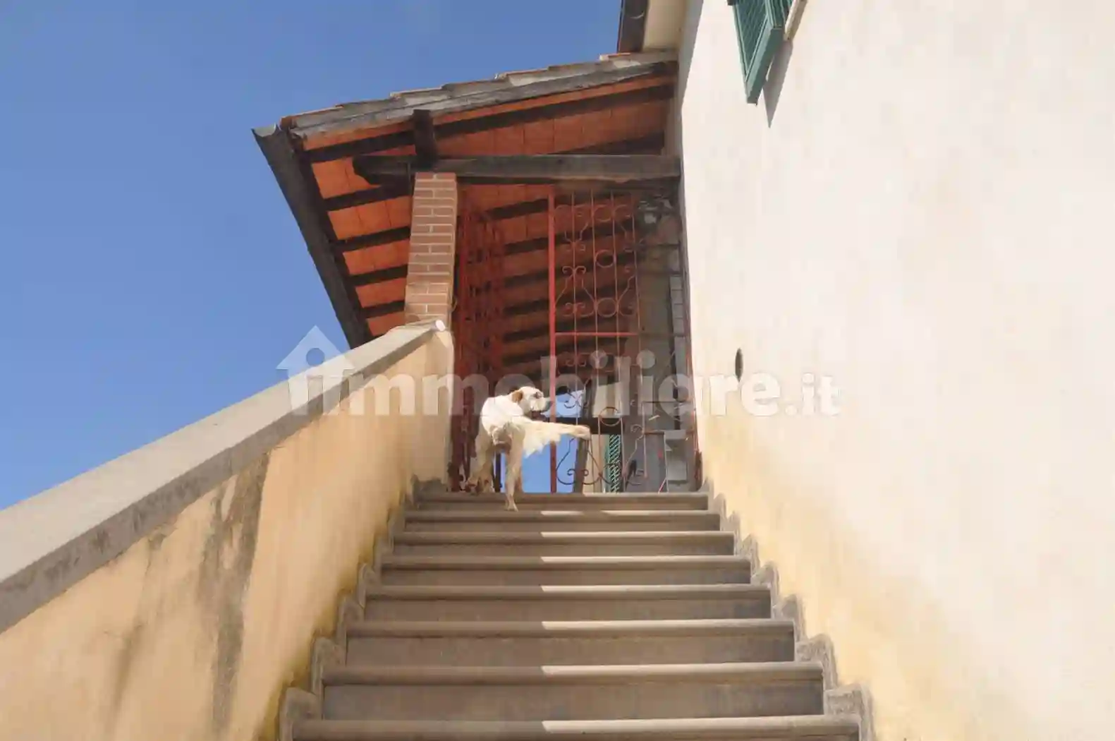 Rustico - Casale - foto 4