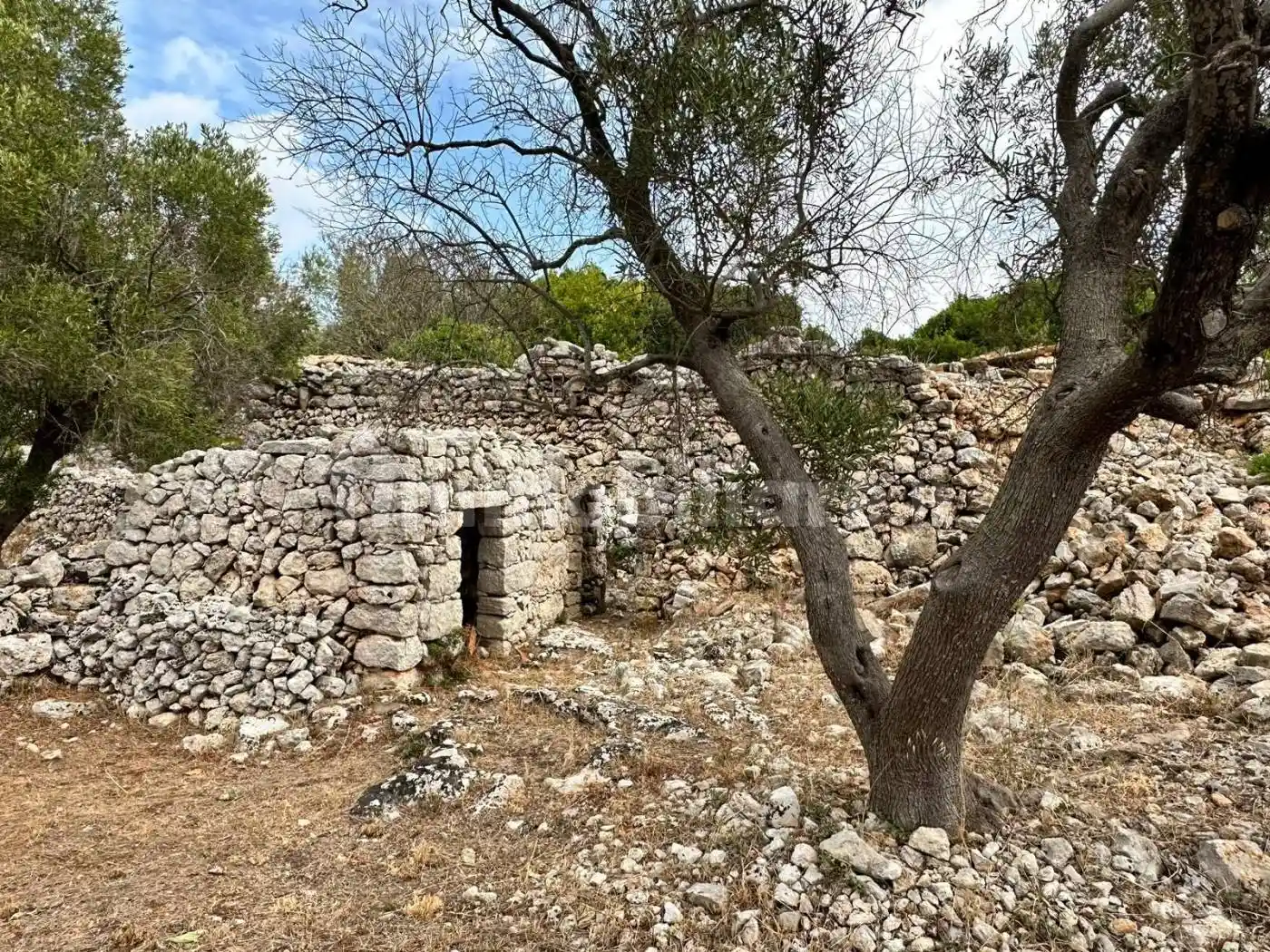 Rustico - Casale in vendita a Castrignano del Capo