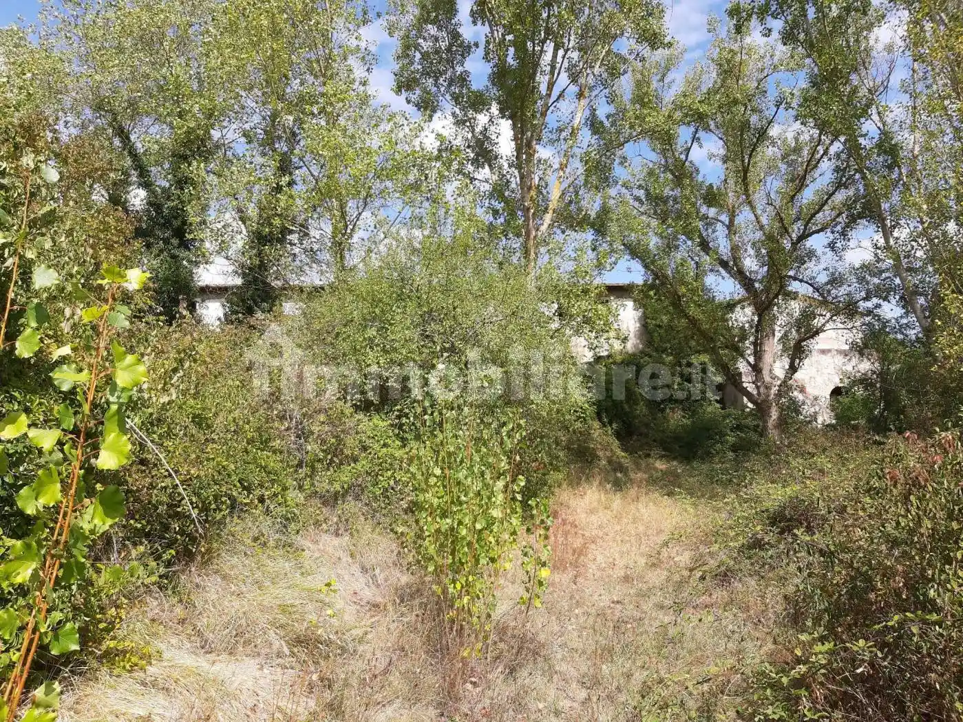 Rustico - Casale in vendita a Terricciola