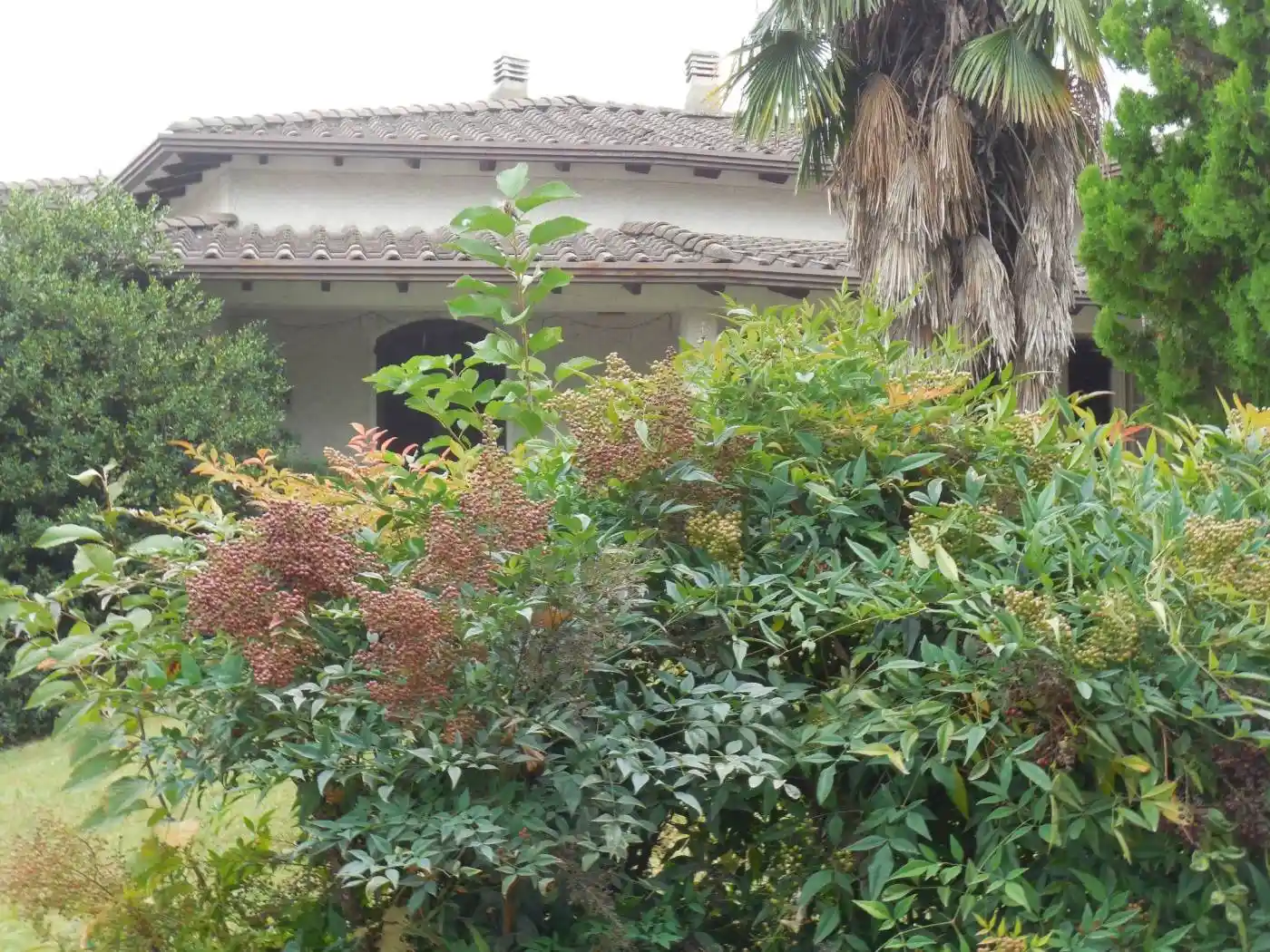 Villa in vendita a Crema