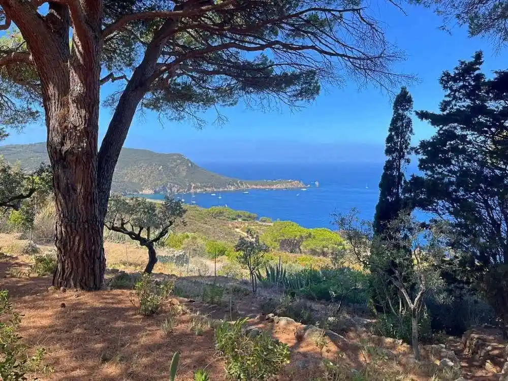 Villa in vendita a Isola del Giglio