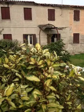 Rustico - Casale in vendita a Cartura