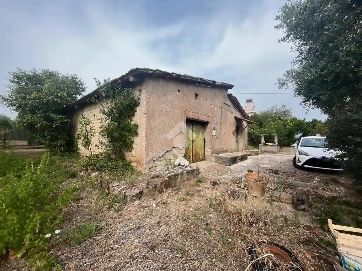 Rustico - Casale - foto 4