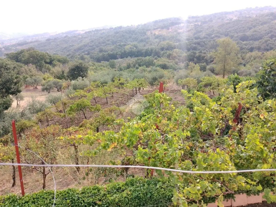 Villa unifamiliare via Provinciale, Castelvetere sul Calore - foto 2