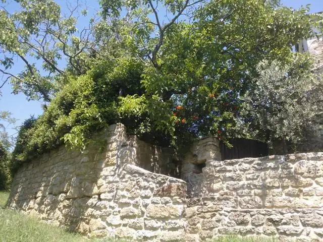 Rustico - Casale in vendita a Castrocaro Terme e Terra del Sole