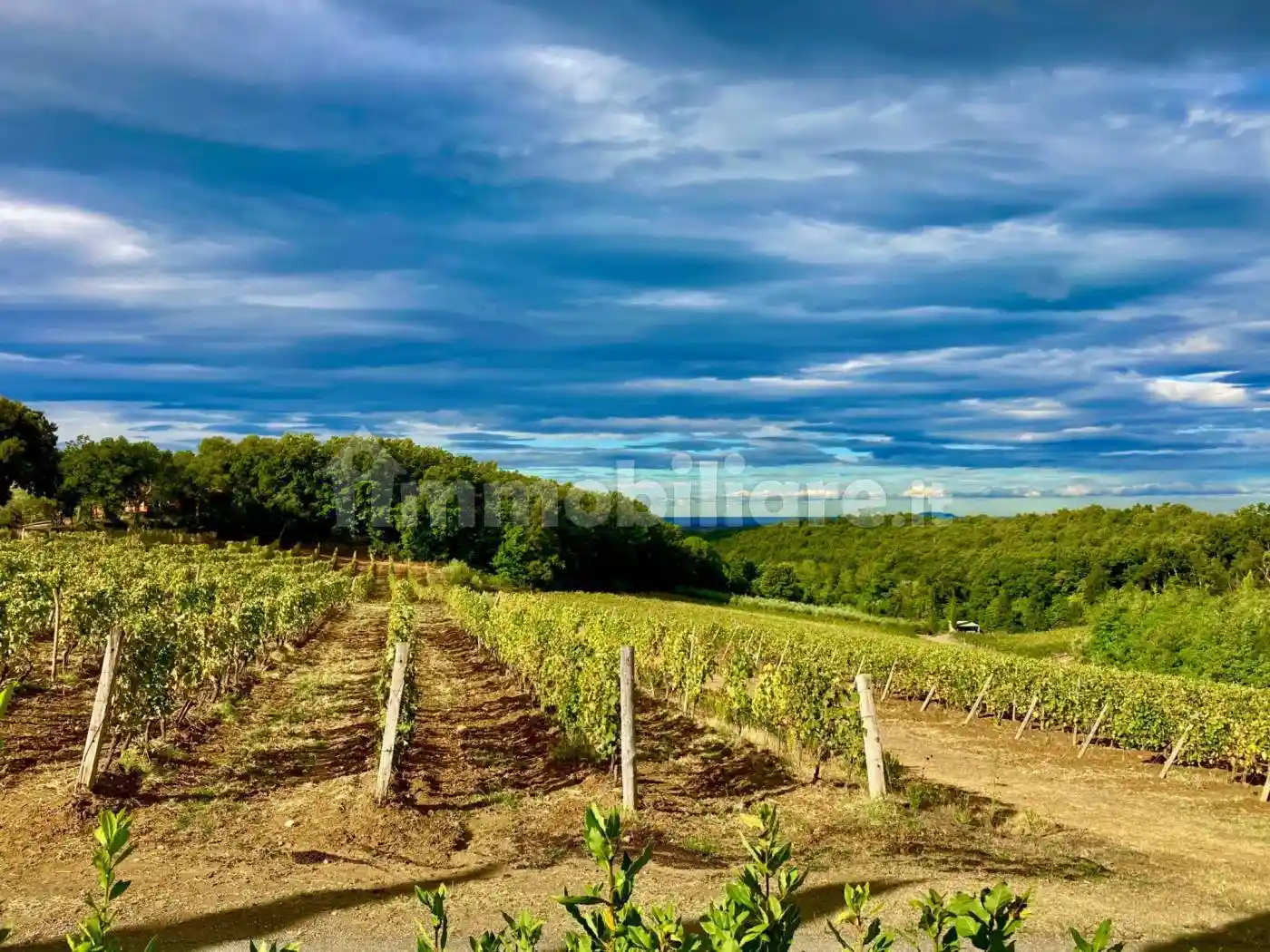 Rustico - Casale in vendita a Cecina
