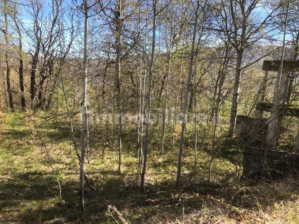 Casale Poggio d'Api, Accumoli - foto 3