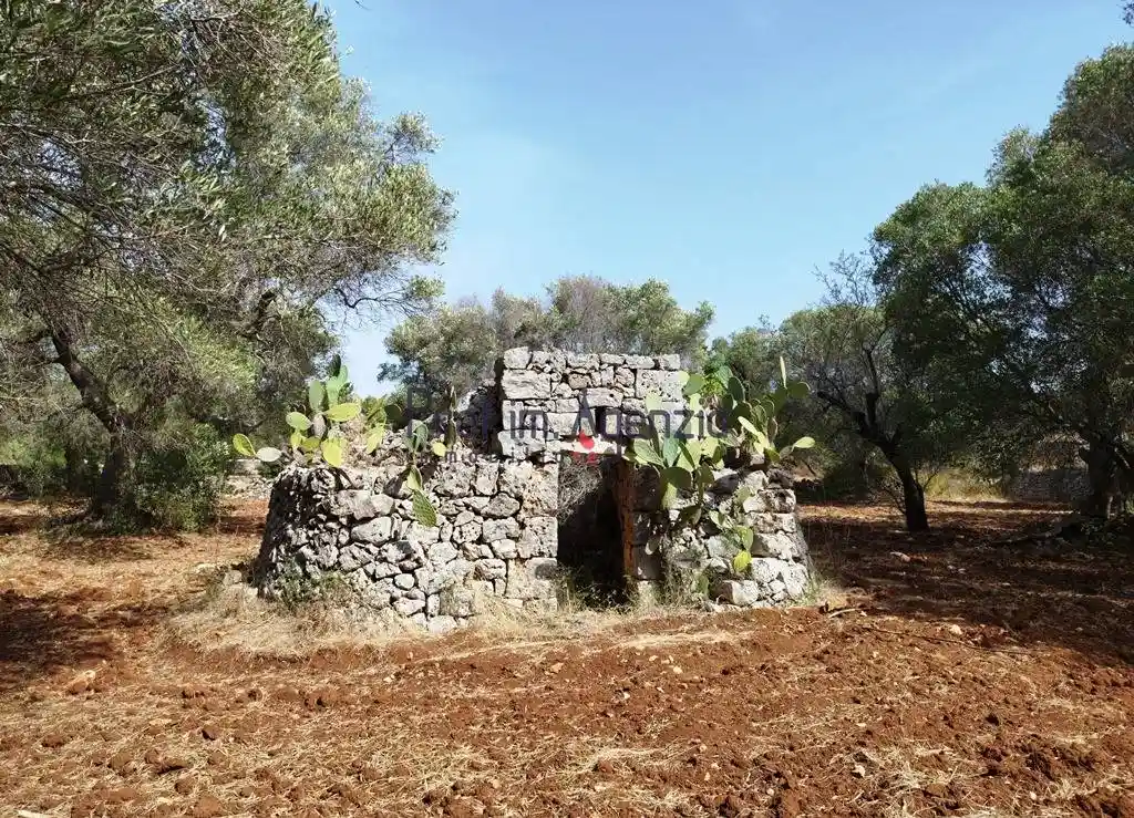 Rustico - Casale in vendita a San Vito dei Normanni