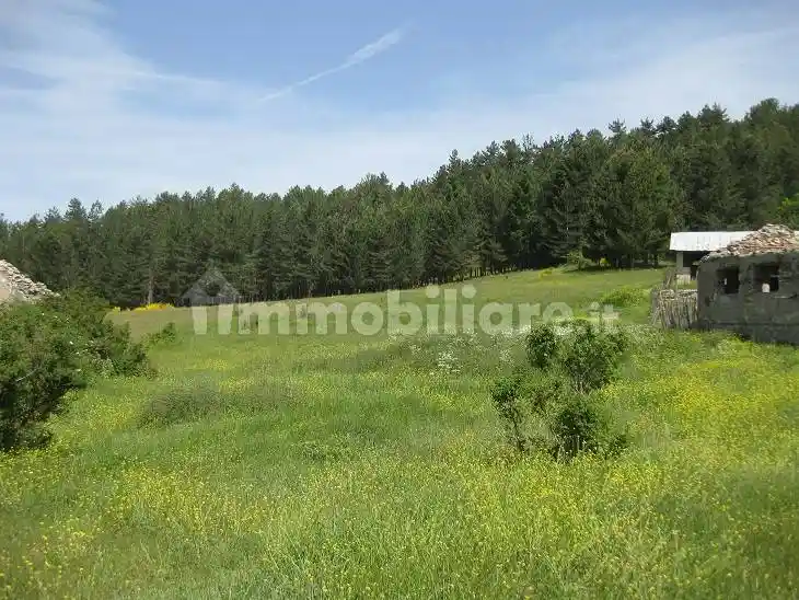 Rustico Località Zarella, Spezzano della Sila - foto 4