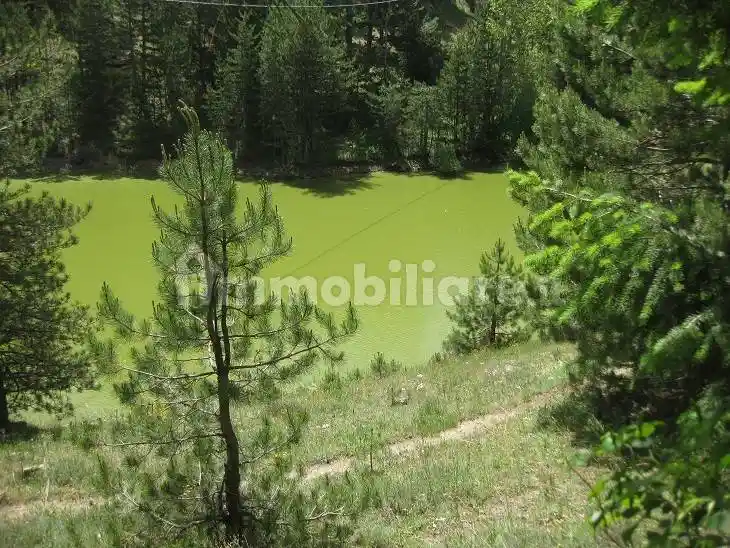 Rustico Località Zarella, Spezzano della Sila - foto 5