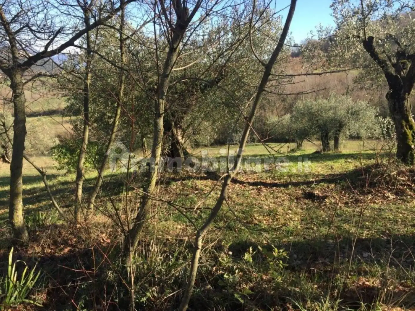 Rustico - Casale in vendita a Piana di Monte Verna