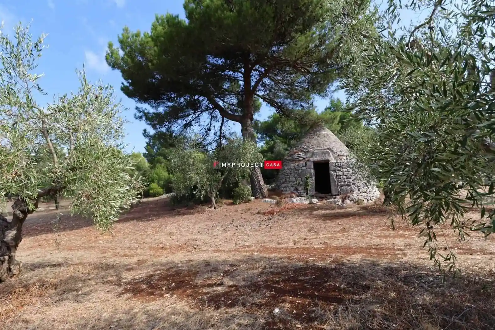 Rustico - Casale in vendita a Cisternino