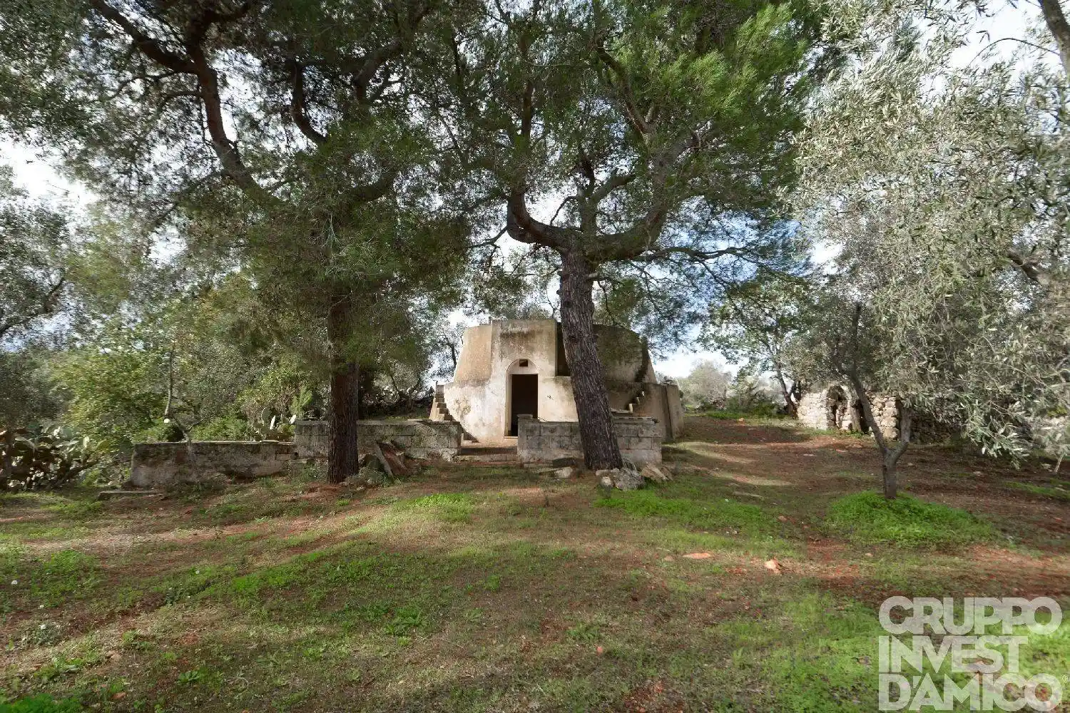Casa indipendente in vendita a Carovigno