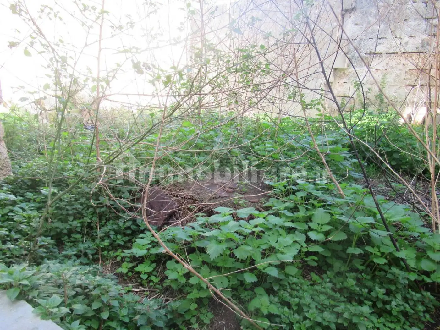 Villa unifamiliare Tripoli, 18, Botrugno - foto 3