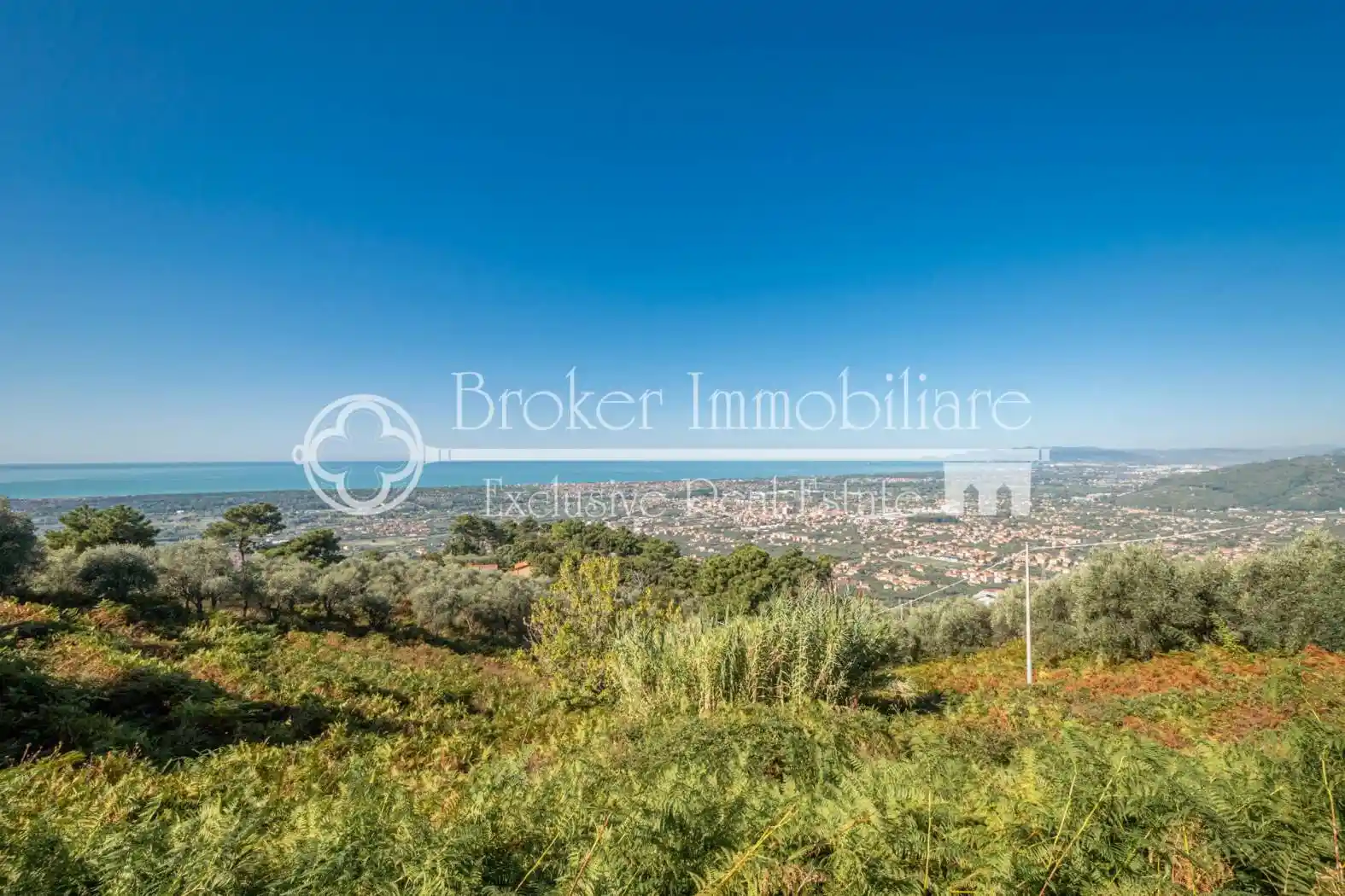 Rustico - Casale in vendita a Pietrasanta